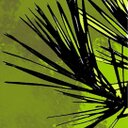 Melissa Dana - @BlackPineHealin - Twitter