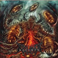 kaluman_dm (@kaluman_dm) 's Twitter Profile Photo kaluman_dm (@kaluman_dm) 's Twitter Profile Photo