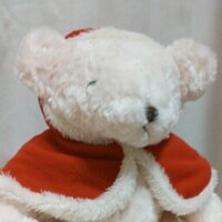 ニャンスケ🦊 (@y3kan2k8sue) 's Twitter Profile