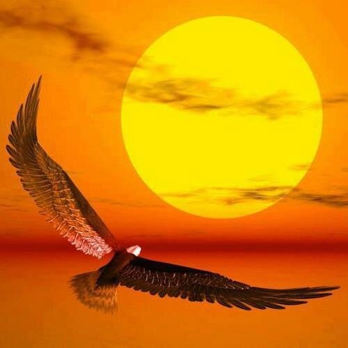 lke1001's profile picture. 오직 정의와 진실만을 추구하라!