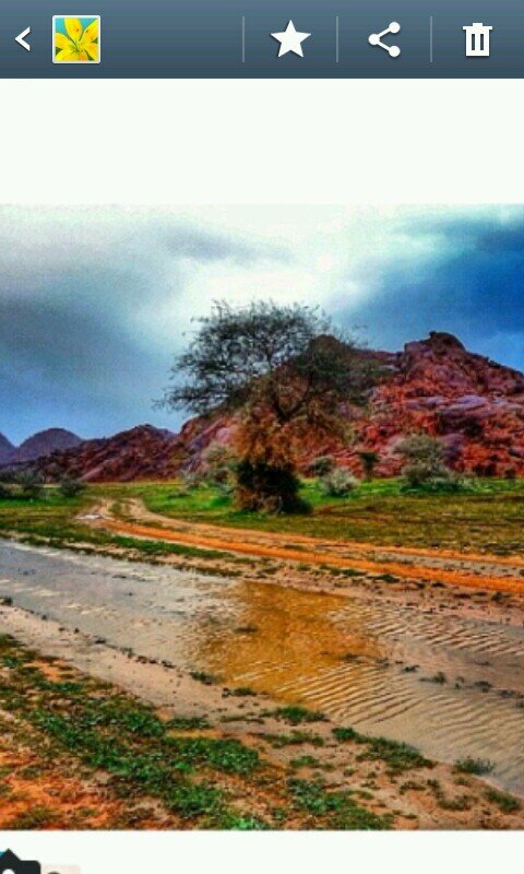 ‏‏‏‏استغفرالله واتوب اليه.