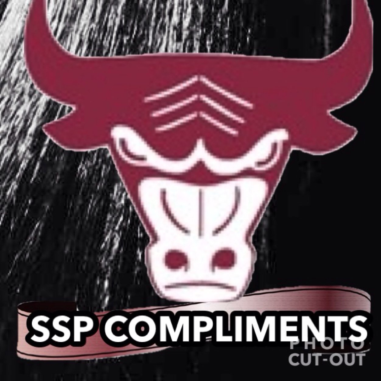 ~BELIEVE IN YOURSELF~HAVE FAITH IN YOUR ABILITIES~IF YOU CANT FIND YOUT ABILITIES, OR DON'T BELIEVE IN YOUSELF~SOMEONE DOES~AND THAT PERSON IS ME~GO SSP!~