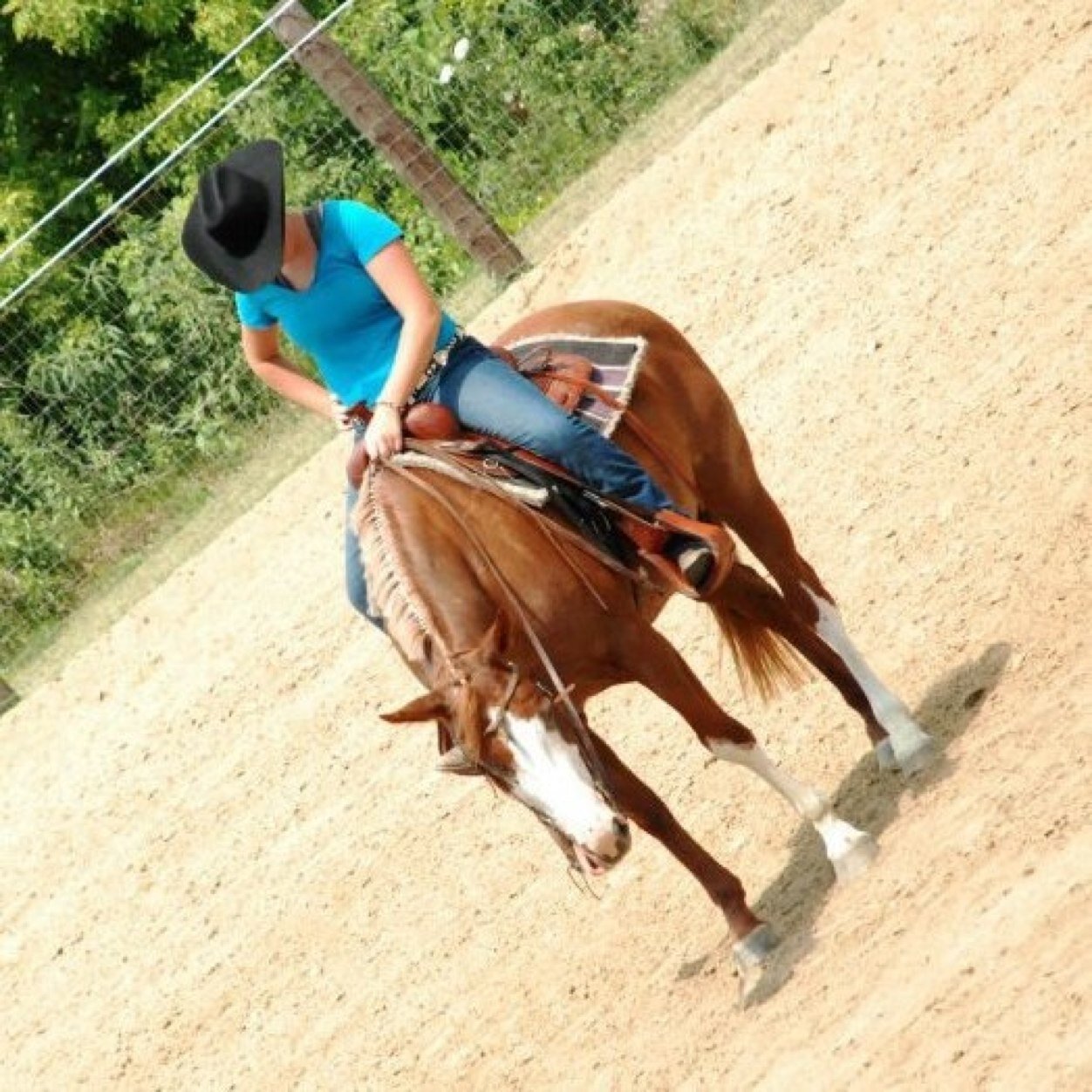 @Lil_wapsi_girl is my main bitch-- backofff. Iowan. Equestrian. Avi is ALWAYS me. #jeepfamily #teamAPHA #MississippiRiverRat get to know me