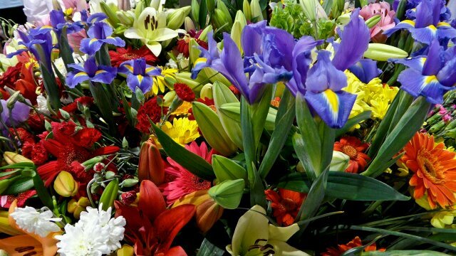 Shank_R1990's profile picture. 