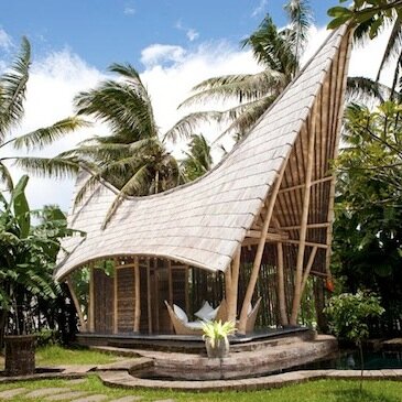 Designs that connect people with nature in groundbreaking ways.