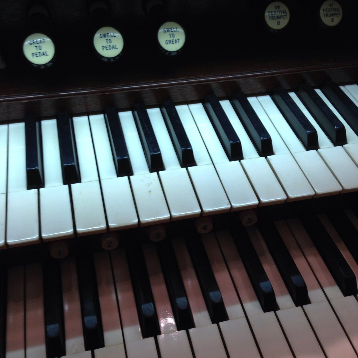 Holly M. Farrow, Ph.D. Profile