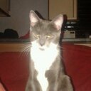 Ryan - @TheRyanArmitage - Twitter