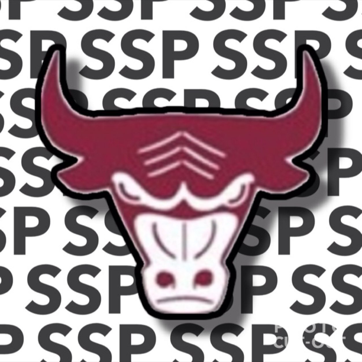 Im just here to show that everyone in SSP is kind, caring, supportive, and proud! Love who you are and be yourself!