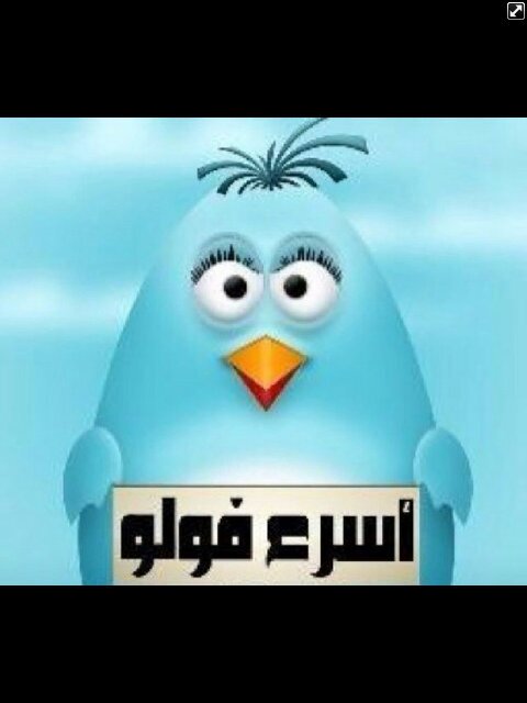 #تابعني_أتابعك #فلومي_فلوباك