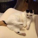yuki (@11kgp) Twitter