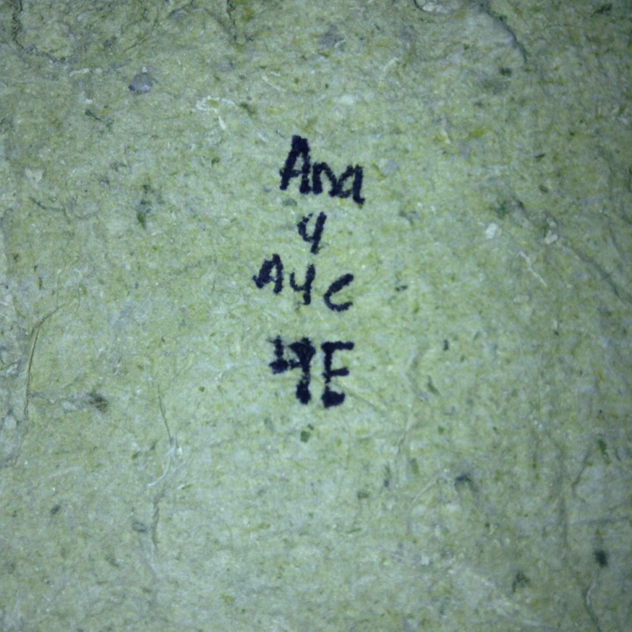 acristina_reyes's profile picture. It isn’t in my blood.