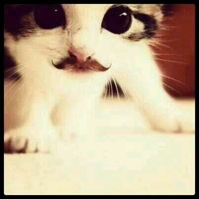 Soy rusher y lovatic espero que me sigan, sigueme y te sigo, I love Big Time Rush and Demi Lovato  @bigtimerush @ddlovato