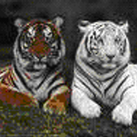 Boynton Beach CHS (@bbchs) 's Twitter Profile