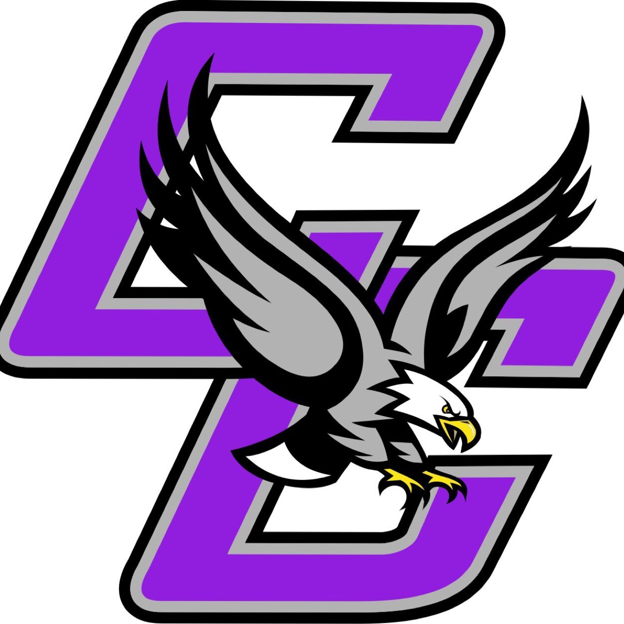 Cesar E. Chavez Learning Academies Est. 2011 Athletics started in the spring of 2012 Located in the city of San Fernando. Go Eagles⚽️⚾️