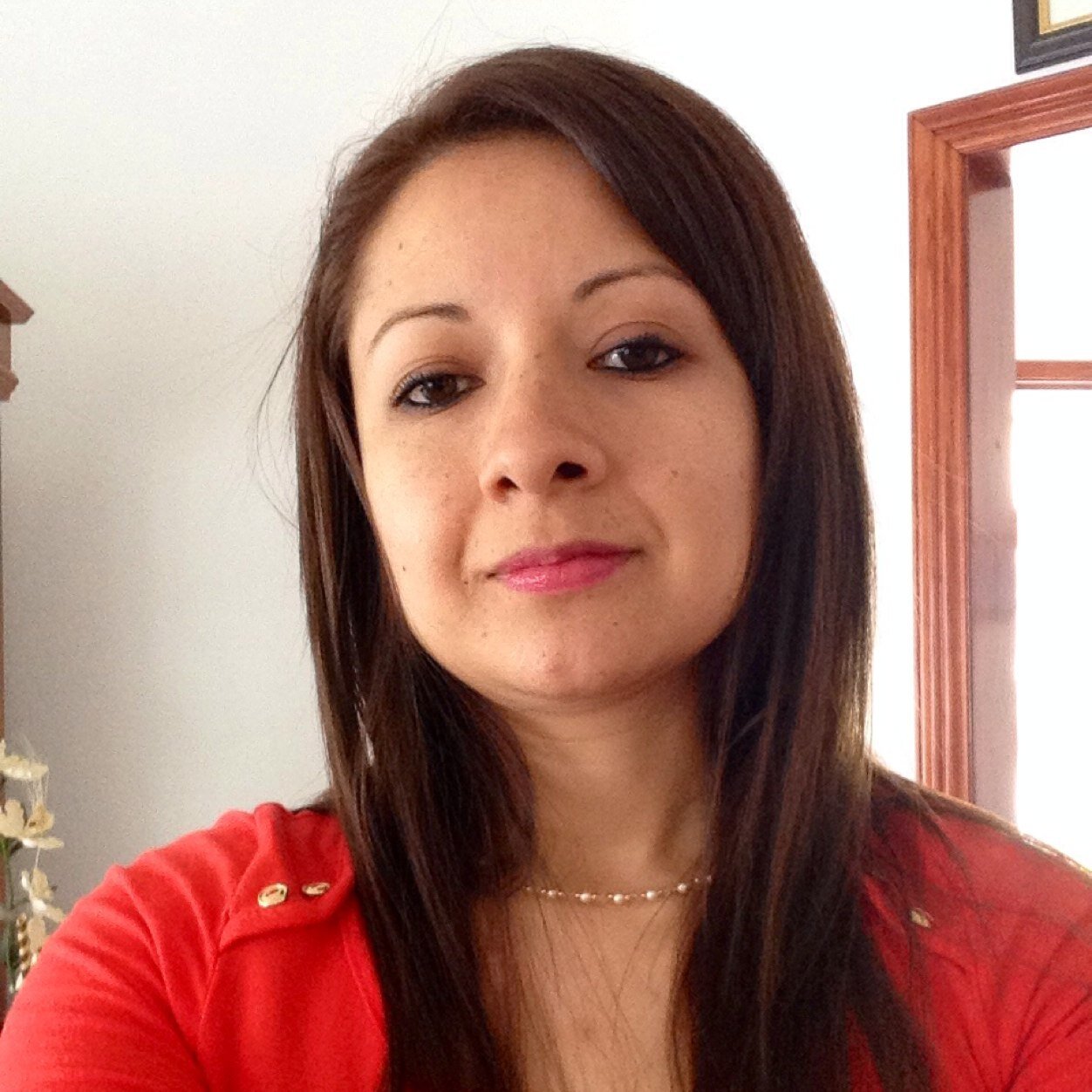 Hidalguense. Egresada de la Universidad La Salle. Estudiante de la Maestría en Contribuciones en la BUAP.