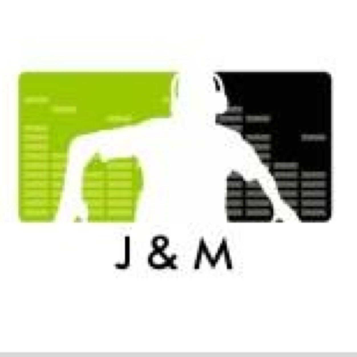 We are J&M we make singing videos on YouTube J&M = @jaysongz101 and @marquelabrooy