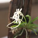 li ying ko - @InterYongjun - Twitter