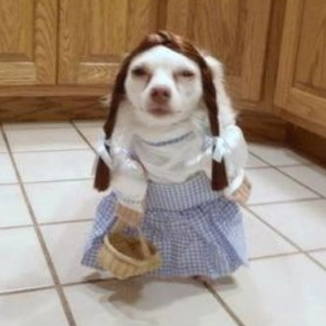 @namnnmm 's | JL | (No.2)