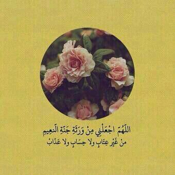 ربِّي إني أبوءُ بعثرتي وخطيئتي، هربًا إليكَ وليس دونك مهربُ🌼🌱