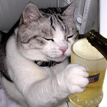 DATASScom1's profile picture. youtuberos del corazon foreva :3