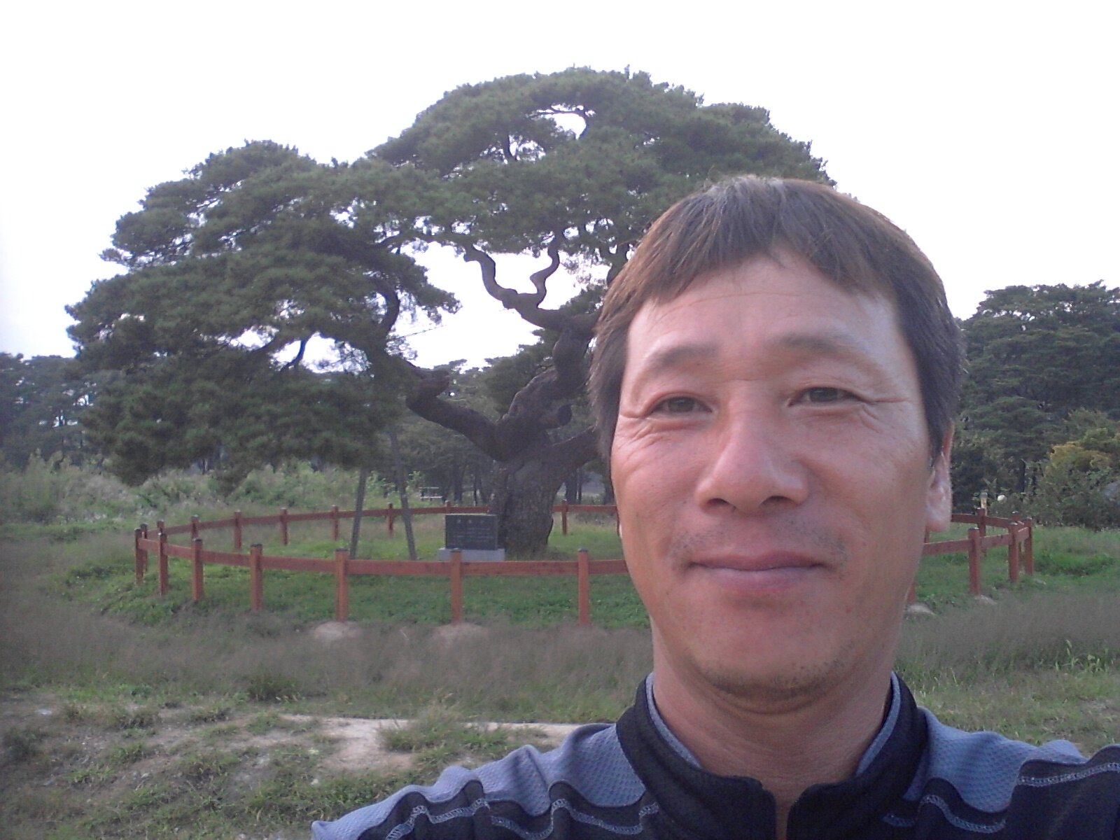 evernet99's profile picture. 통합진보당 부산진구지역위원장. 노무현재단. 시민광장. 깨어있는시민의조직된힘!