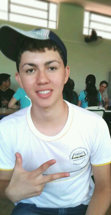 Minha vida é baseada em conquistas, perdas e emoções! Sou um Demolay, estudante, futuramente um profissional, e levo a vida desse jeito antes que ela me leve!