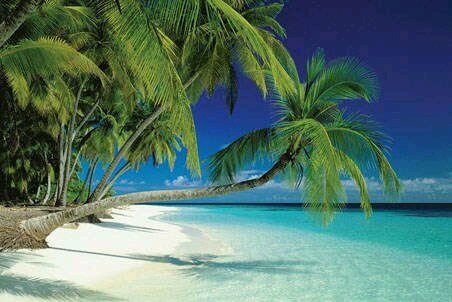 Welcome to Maldives