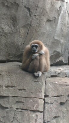 MrPsoas's profile picture. 