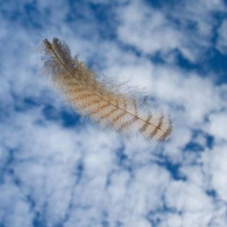 ptenka1's profile picture. Будущее покажет, насколько настоящим было ваше прошлое...