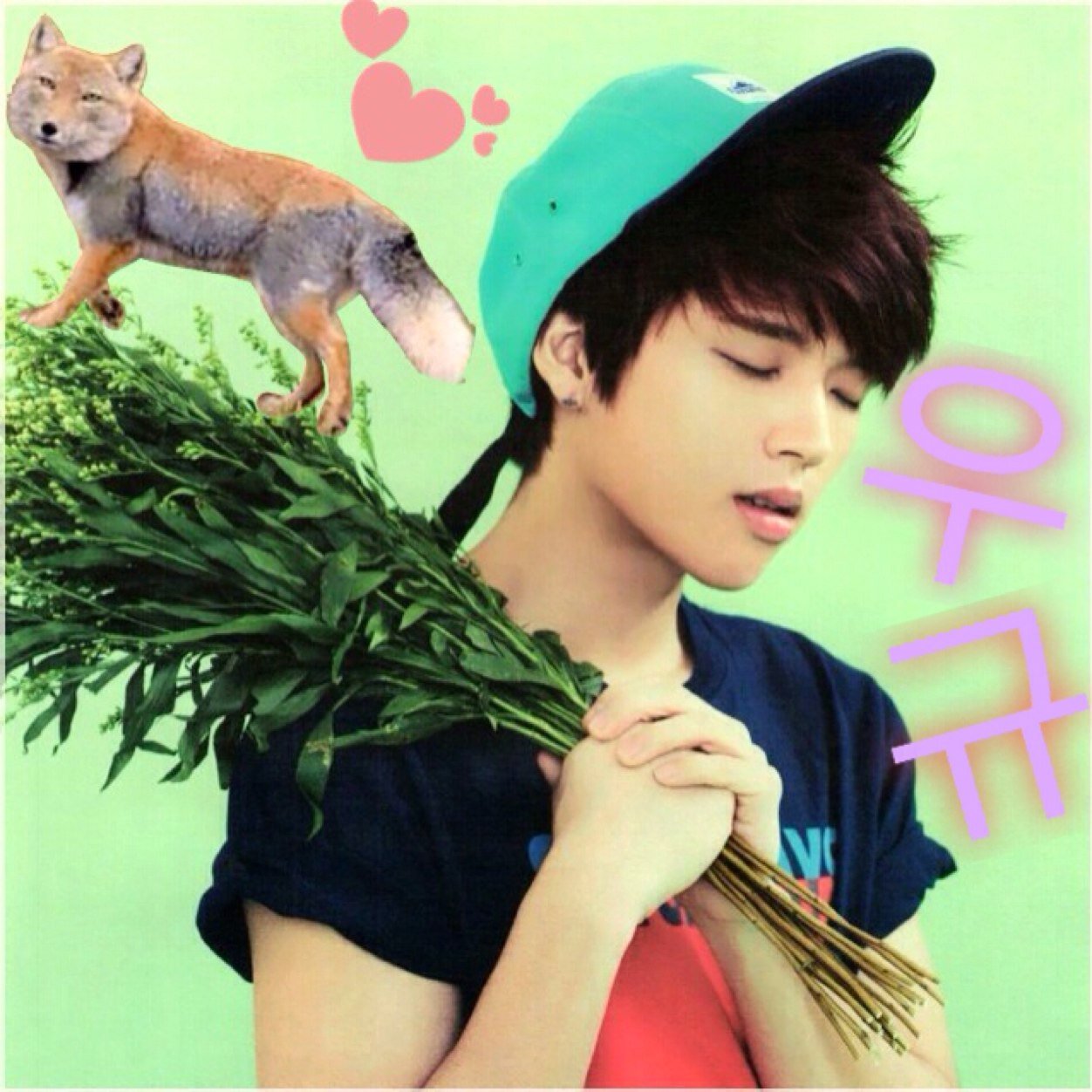 ♡INFINITE♡うひょなよりおーる/95line/フォロバ100%/低浮上ぎみ/ボプ垢→@BF_dzg