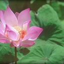 Evisabel Santos Gil - @evisabelily - Twitter