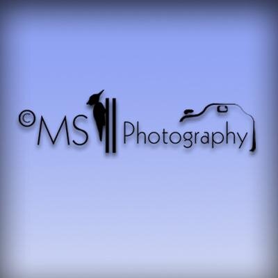 Ms Photography Catkins ক শফ ল T Co 8rw80ikjhs Twitter