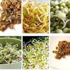 EdaNatureUfa's profile picture. Здоровое питание - один из путей саморазвития. Мы предлагаем натуральные, живые, экологически чистые продукты.