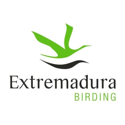 birdextremadura Profile Picture