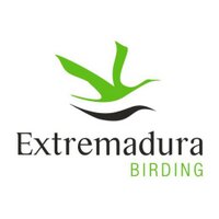 BIRDING IN EXTREMADURA(@birdextremadura) 's Twitter Profile Photo