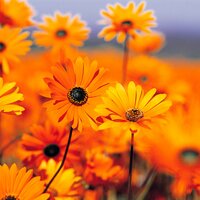 Pranay Tewari (@pranayptewari) 's Twitter Profile Photo