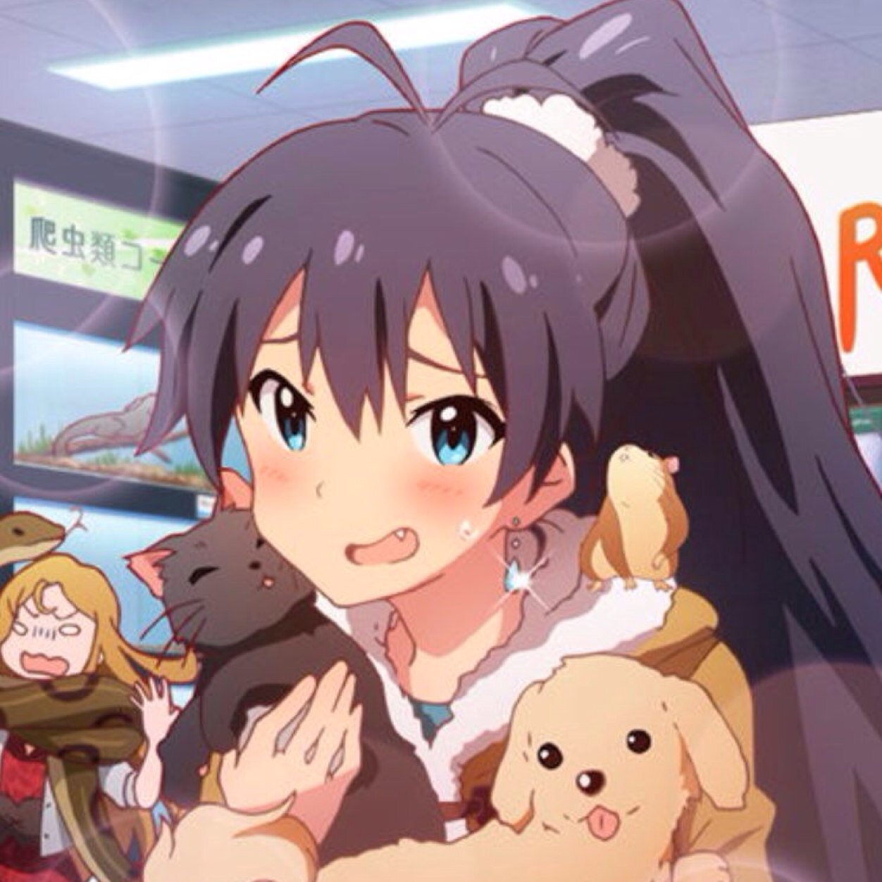 たかなPさんのプロフィール画像