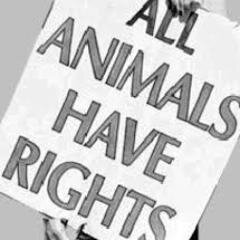 Animal Rights Activist