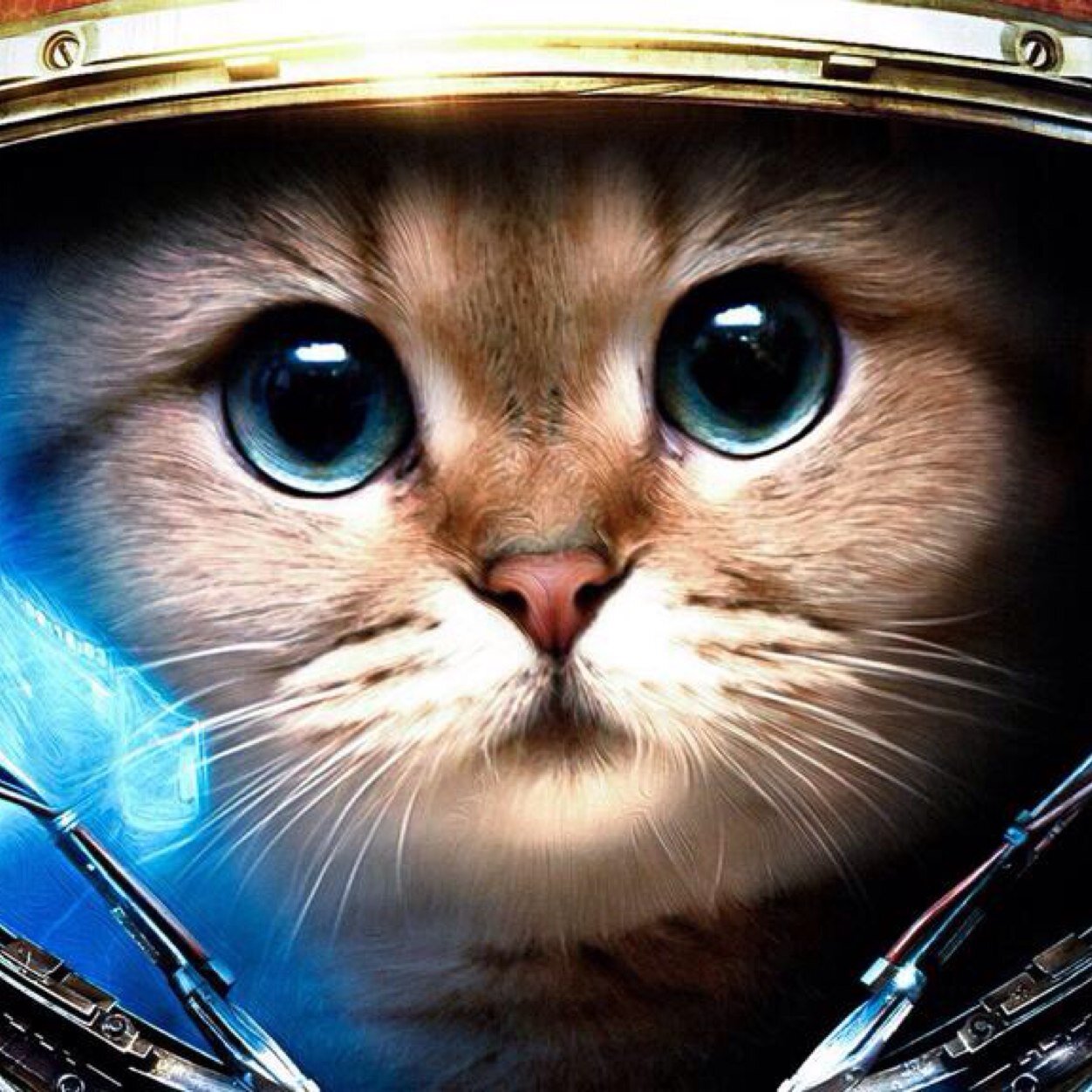 PraciseArts's profile picture. http://t.co/ehSnN0eFN7