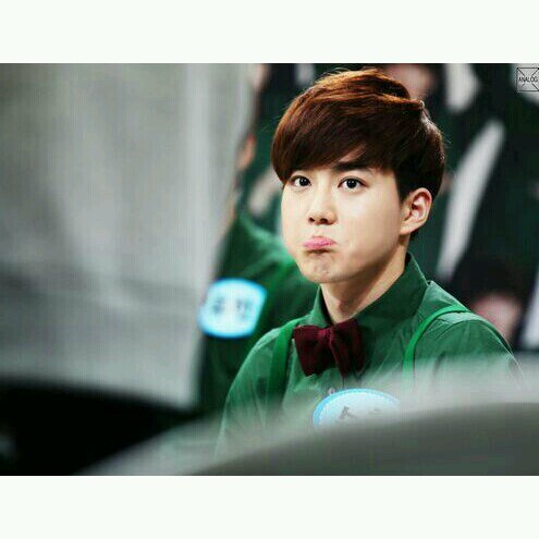 ผมชื่อซูโฮค้าบบบ ผมเป็นลีดเดอร์ที่น่ารัก ใจดี อยากรุ้ว่าผมจะใจดีน่ารักยังไงทักผมมาเลยค้าบผม^^# โสดดด