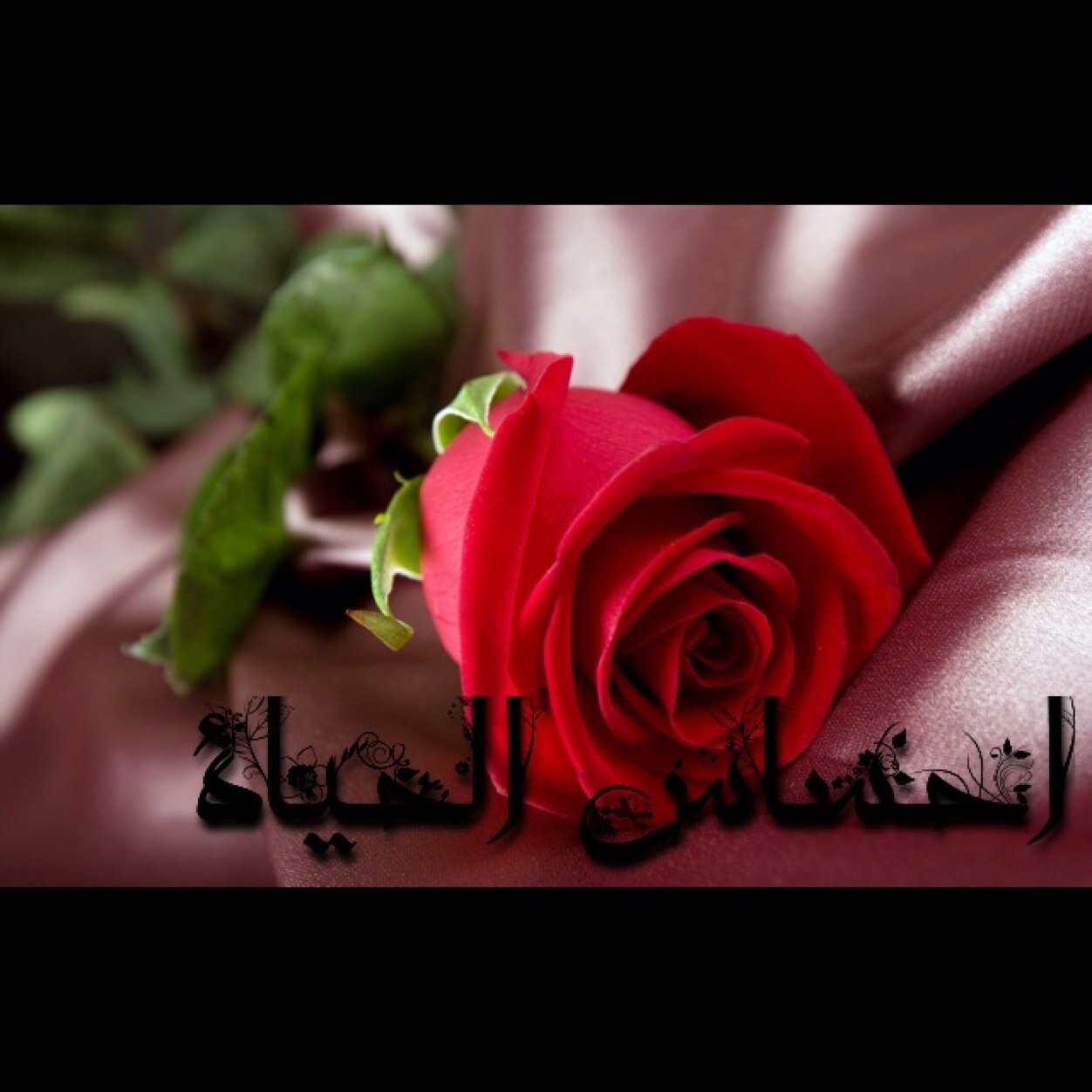 اللي يتابعني عسى الله.. يحييه
أهلاً هلاّ لي الفخر … وأتشرّفْ
واللي.. تعداني عَدَتْهْ المشاريه
كافي حسابي في مروره تشرف