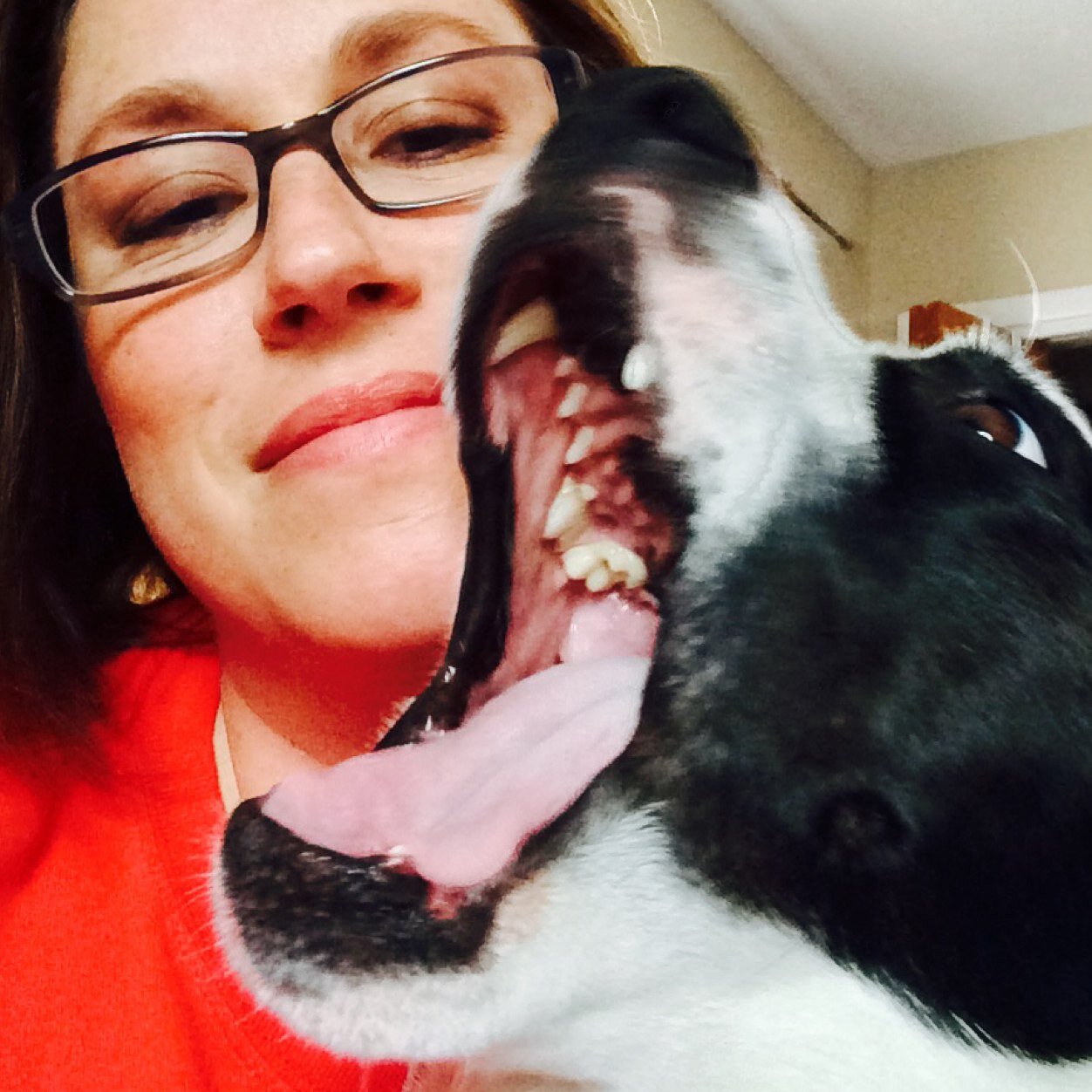 skottydont's profile picture. 