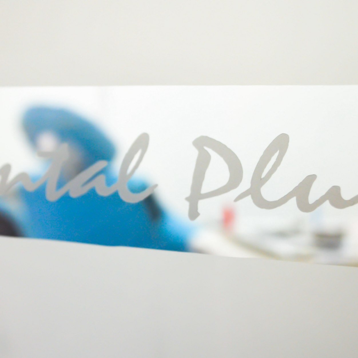 dentalplustoro's profile picture. Tel 3155960945