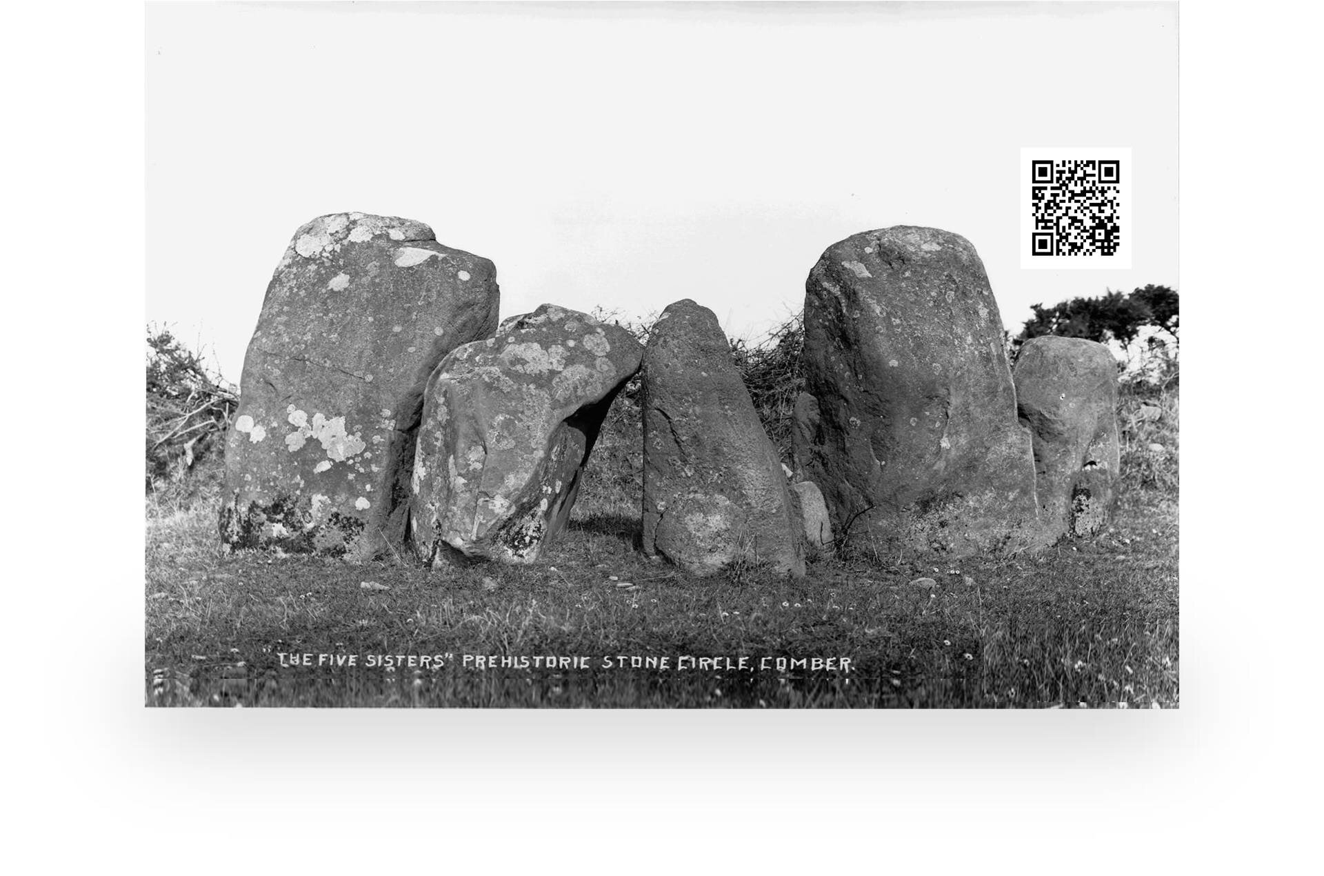 NI historian, author and tour guide offering research services alongside bus and walking tours. Also offer a series of talks, presentations and short courses.
