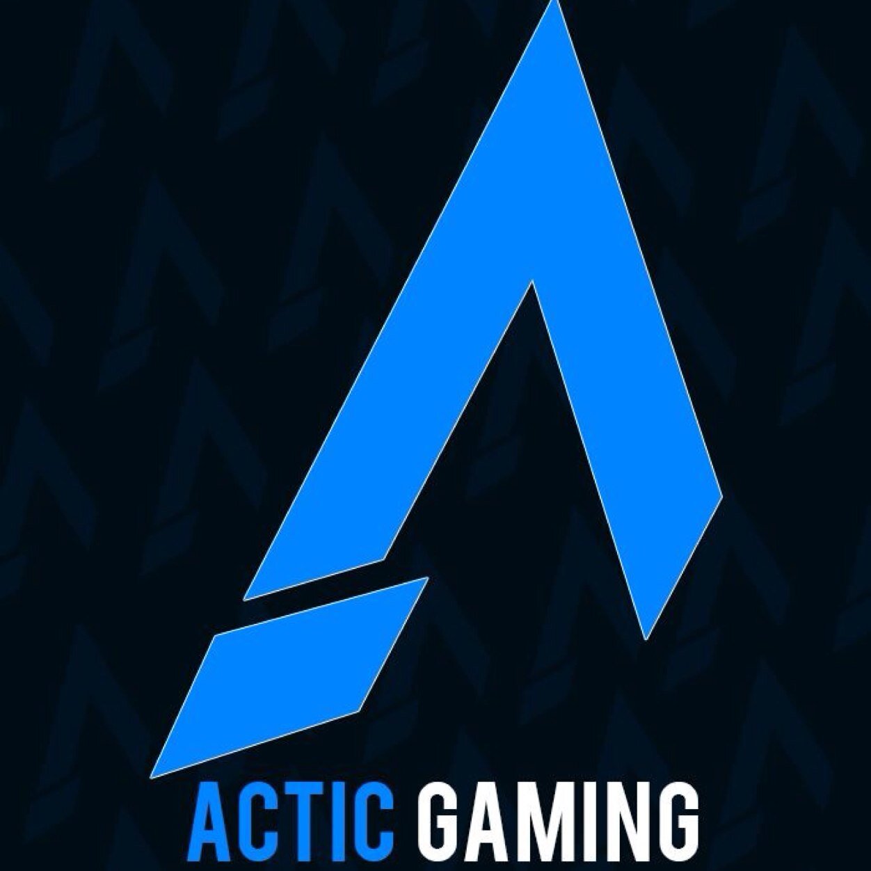 Actic_Gaming's profile picture. eSports organisation | For console (PS3) | April Pre Seasons are comming up !