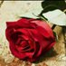 لؤي (@garehloaay) Twitter profile photo