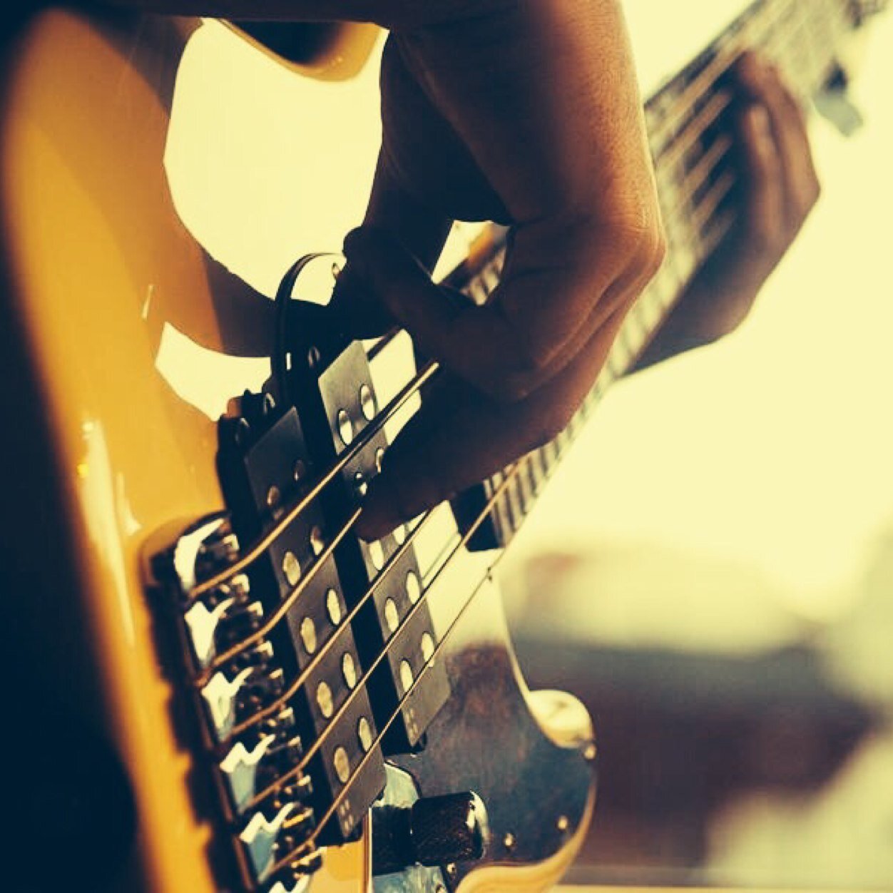 Collazo11's profile picture. 