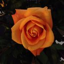 Lindsay Larson - @Lou482 - Twitter