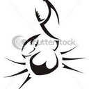 Caroline Dufour - @kroduffs - Twitter