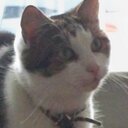 Debbie Smart - @DebbieSmart56 - Twitter